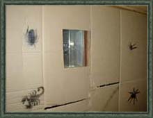 Bug Tunnel (Strobe Light)