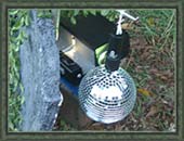 Projector Setup (2004)